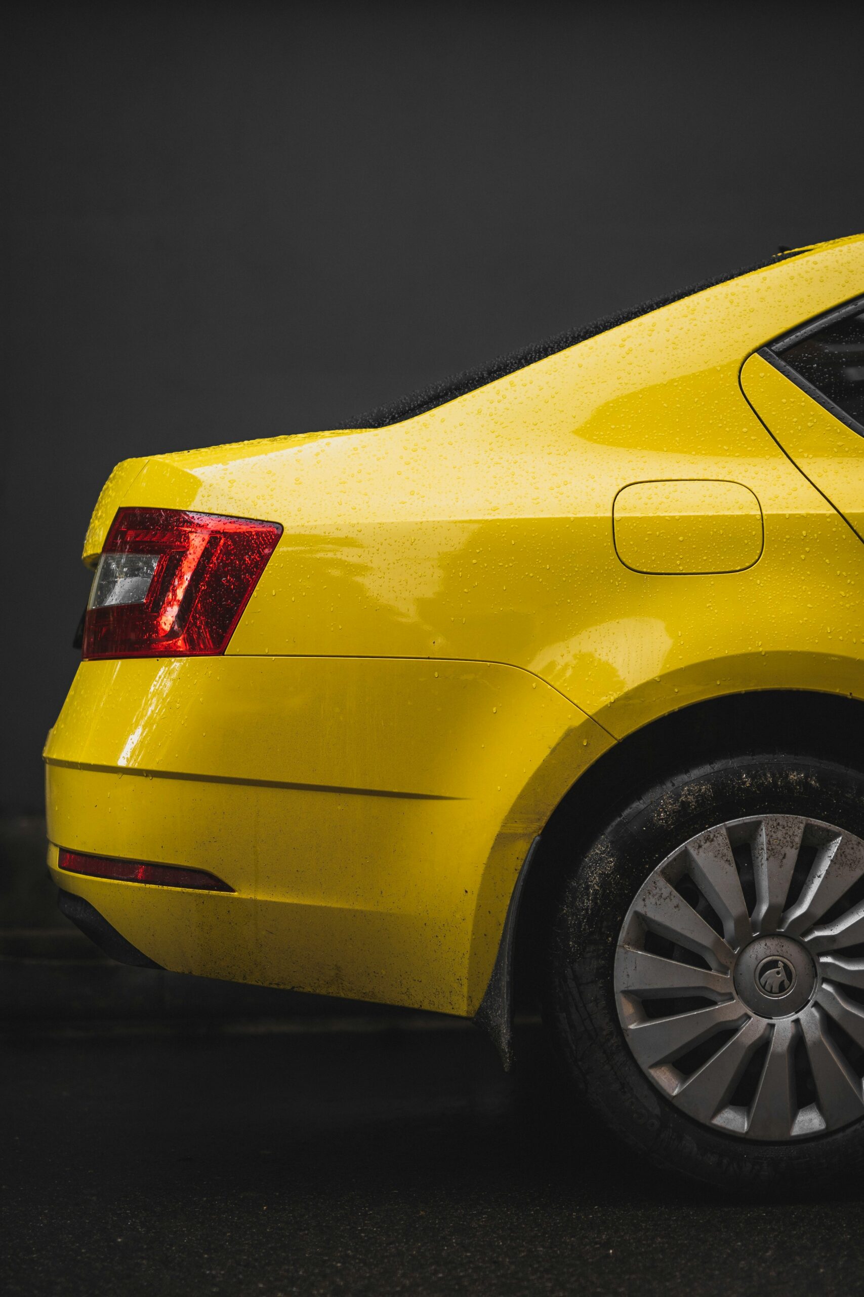 Золотоноша Пілот